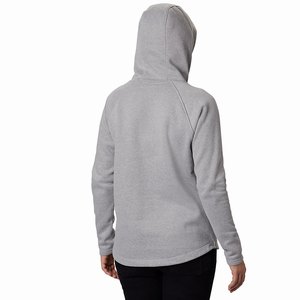 Columbia Hart Mountain™ Graphic Hoodie Dam Grå (LTOIR3407)